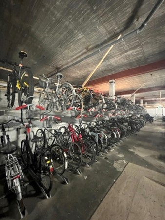 IMG_4785 Medium.jpeg